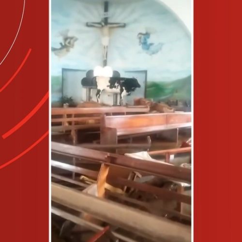 Inundações em Taquari, RS: Boi é Descoberto Dentro de Igreja Após Cheia do Rio