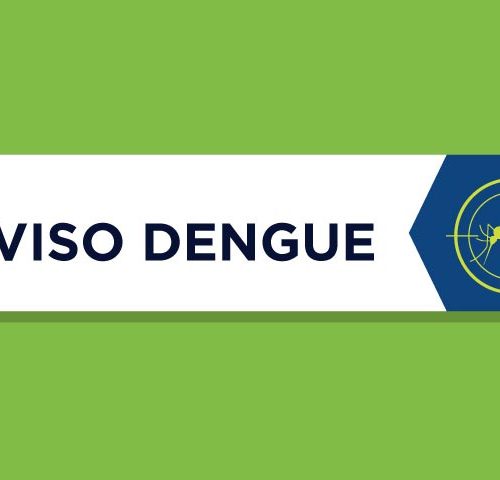 Paraná registra aumento preocupante: 6.593 novos casos de dengue e 10 perdas